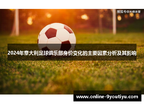 2024年意大利足球俱乐部身价变化的主要因素分析及其影响