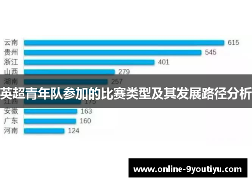 英超青年队参加的比赛类型及其发展路径分析